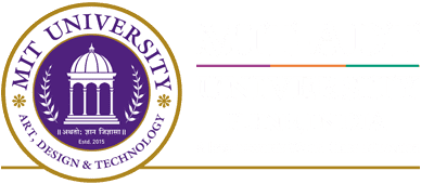 mit pune Civil Services course